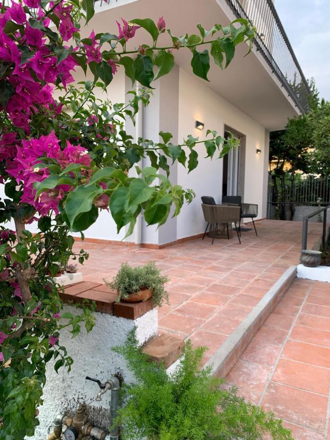 B&B Villa Dei Desideri プラーイア・ア・マーレ エクステリア 写真